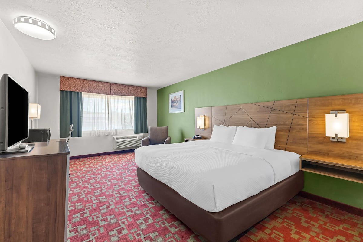 Habitación de hotel con una cama grande, un escritorio con televisor de pantalla plana, una silla, una ventana con cortinas y una pared verde decorativa.