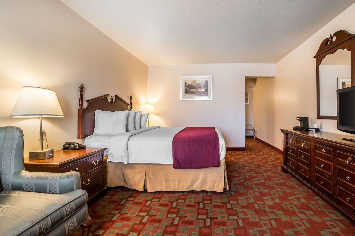 Standard Room, 1 Queen Bed, Non Smoking | Premium bedding, in-room safe, desk, iron/ironing board