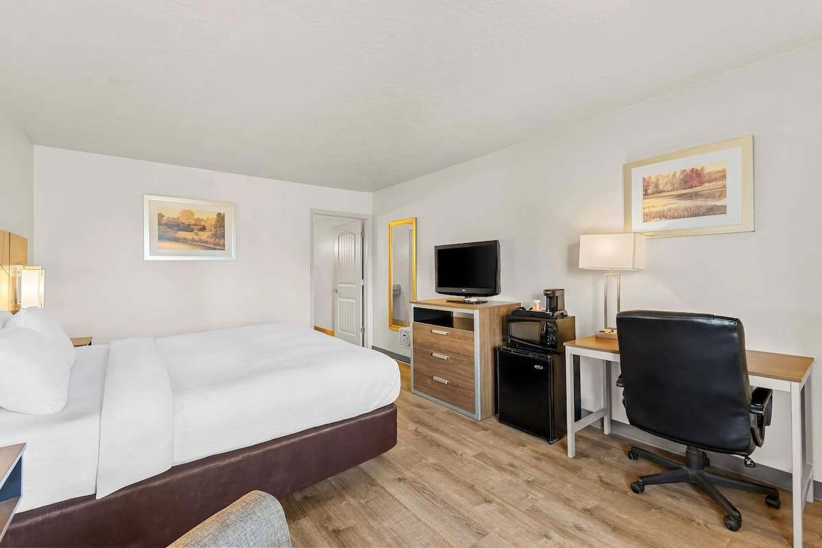 Habitación de hotel con cama, escritorio, silla, televisor y obras de arte en las paredes.
