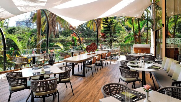 Un espace de restauration en plein air, avec des tables et des chaises, entouré d’une végétation luxuriante et offrant une vue sur le paysage urbain.