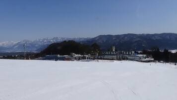 Vistas desde la habitación