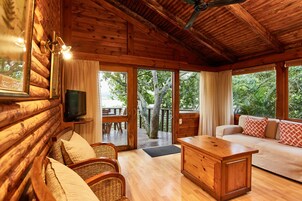 Hillside Chalet | Living area | 40-inch flat-screen TV with satellite channels, TV, DVD player