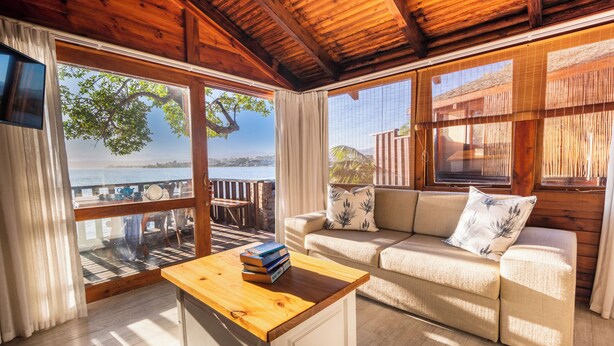 A cozy room with a wooden ceiling, a sofa, a coffee table, and large windows offering a view of the outdoors. - Under Milkwood Resort (Knysna)