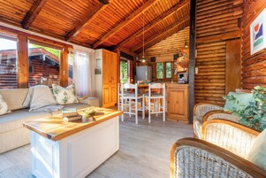 Hillside Chalet | Living area | 40-inch flat-screen TV with satellite channels, TV, DVD player