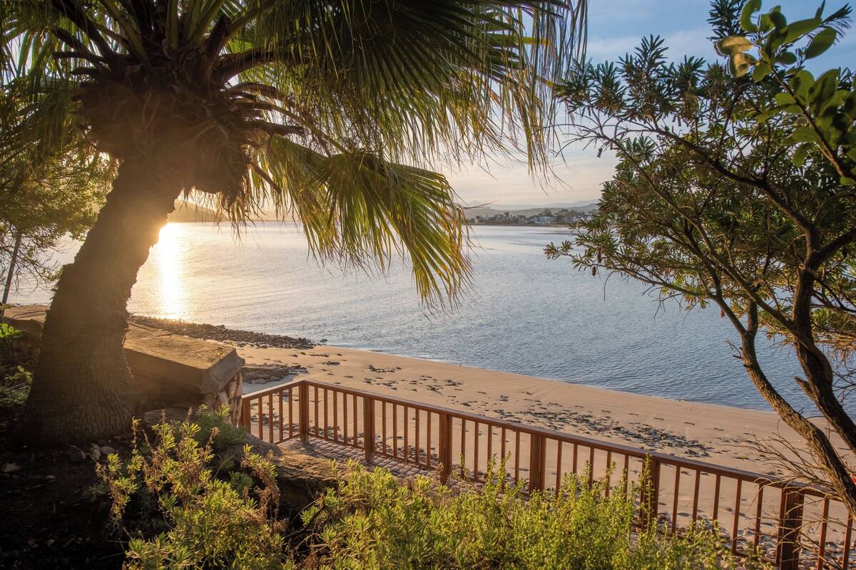 Ein Strand mit einer Holzbank, Palmen und Blick aufs Meer.