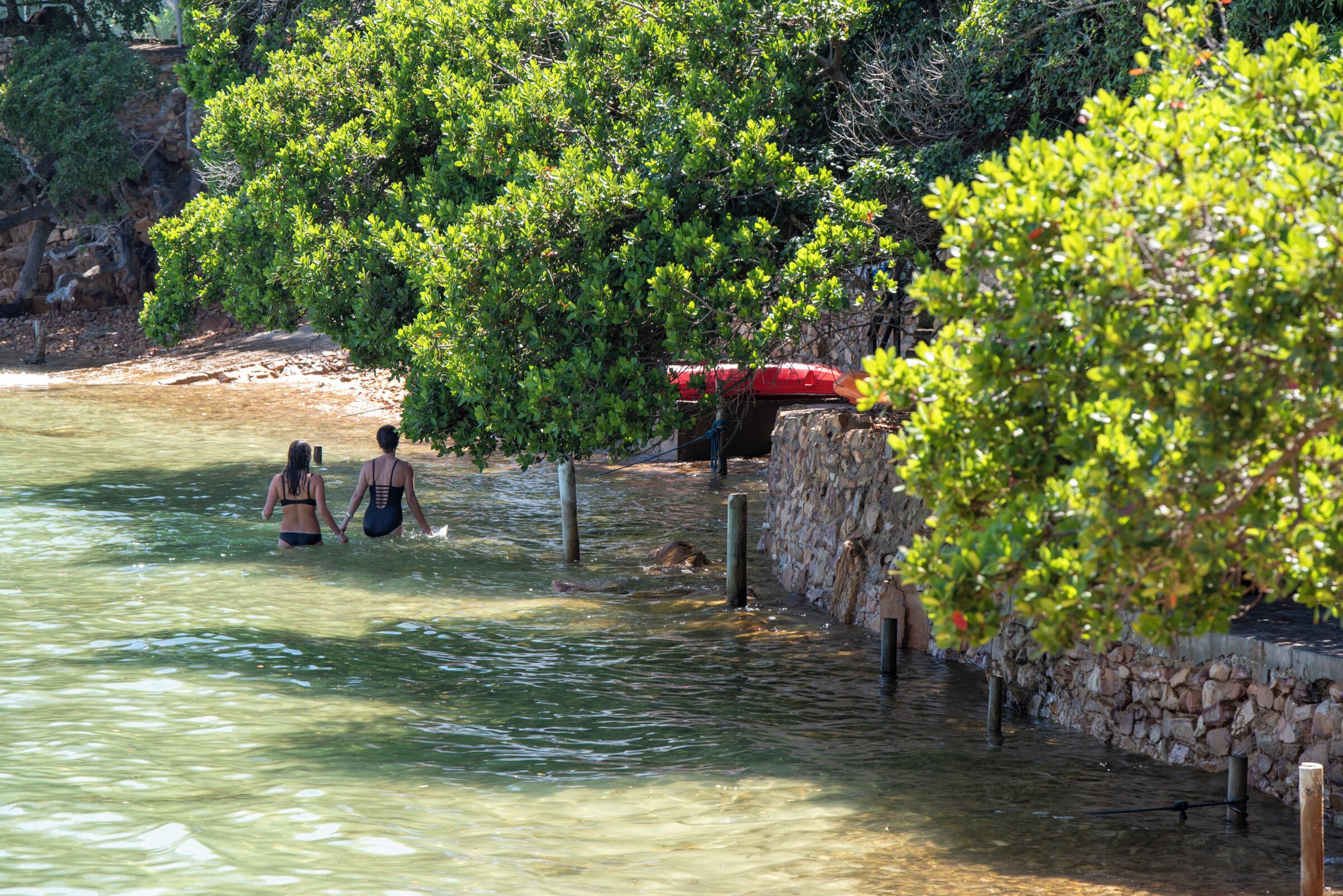 A natural pool with clear water, surrounded by lush greenery and a stone wall.