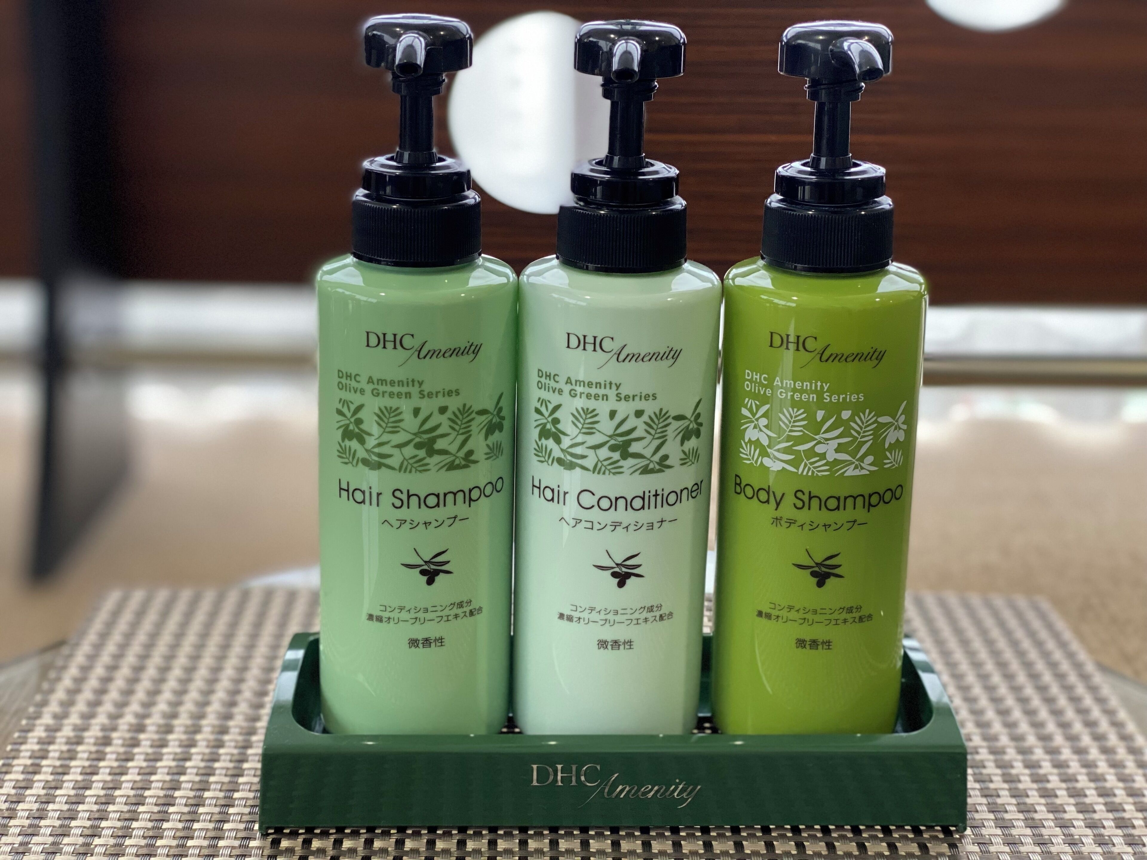 combined shower/bathtub, free toiletries, hair dryer, bidet