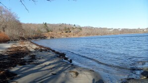 A beach with sand, seaweed, and rocks.