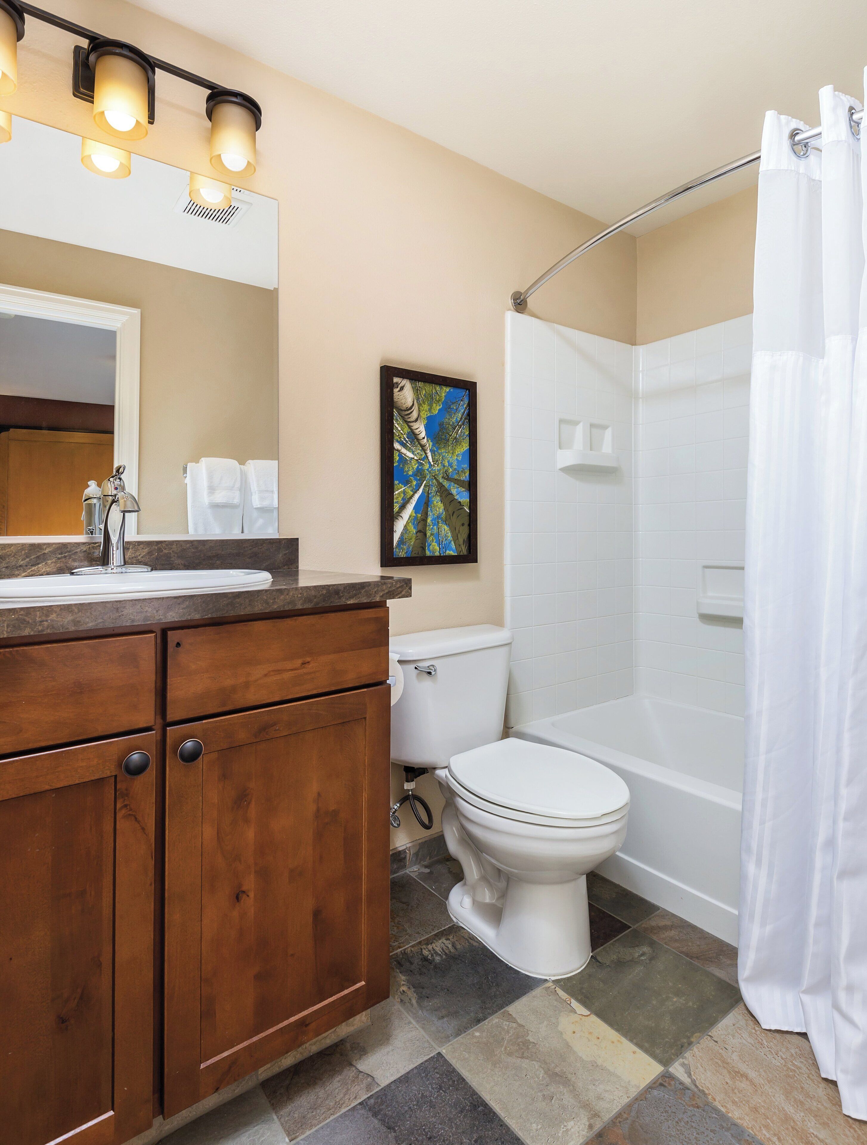 combined shower/bathtub, hair dryer, towels, soap