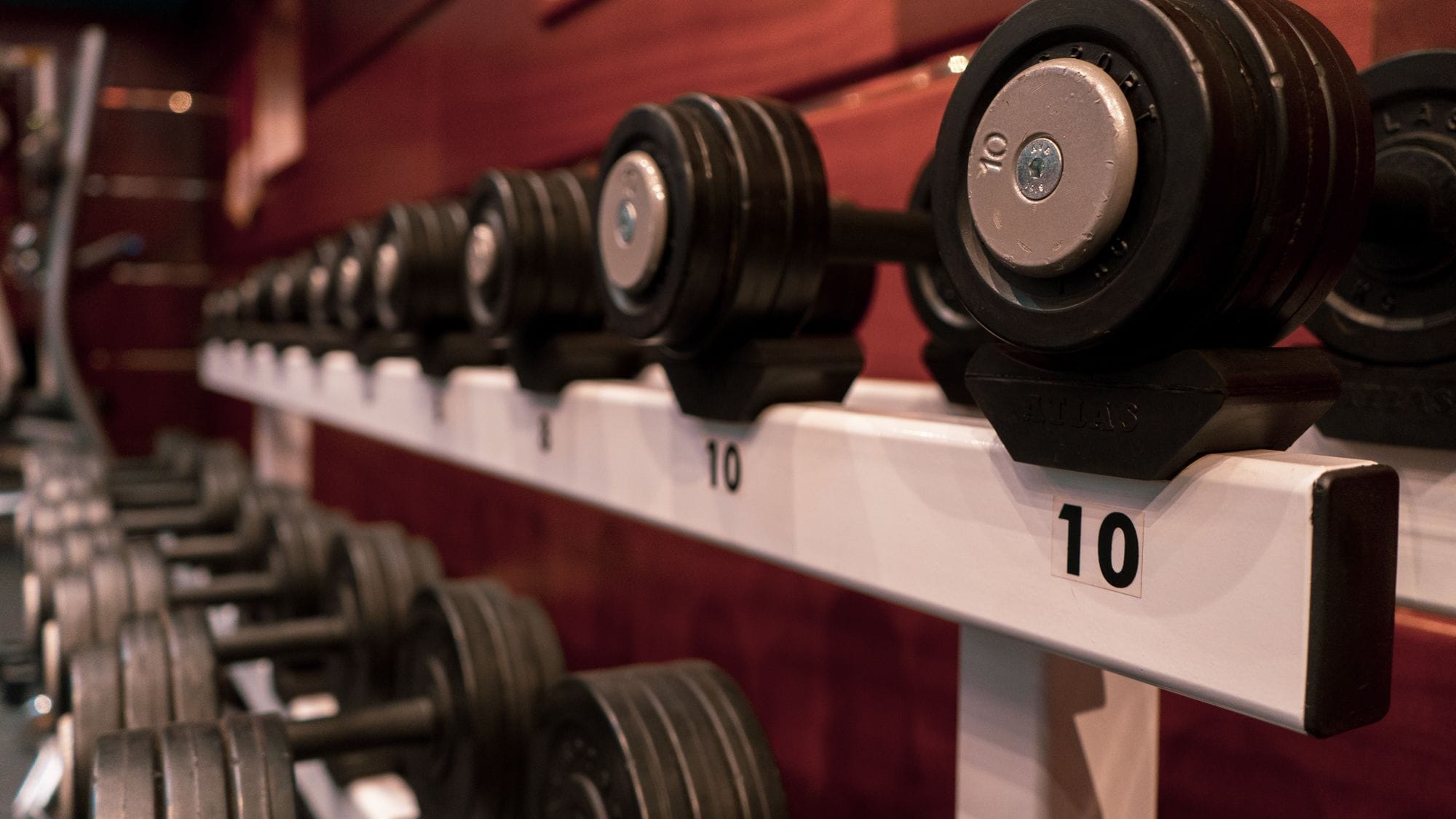 A row of dumbbells with weight markers, indicating a gym setting.