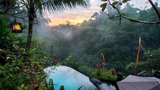 Un jardin tropical luxuriant avec une piscine, entouré d’une végétation dense, et un coucher de soleil en arrière-plan.