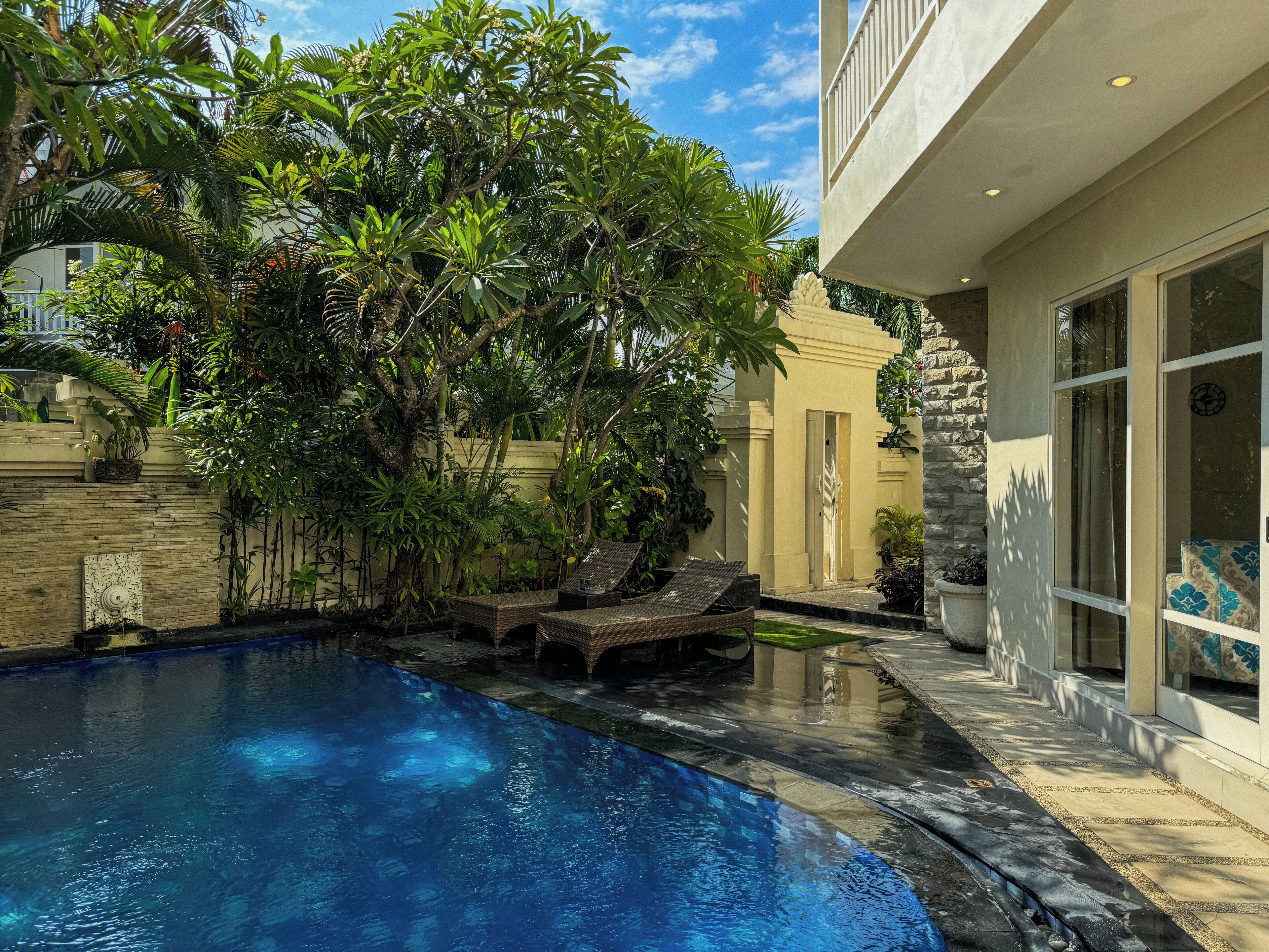 A swimming pool with a stone edge, surrounded by lush greenery and a modern house with large windows.