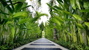 A pathway lined with tall green plants and a striped pattern on the ground. - Awila Villa Kuta (Kuta)