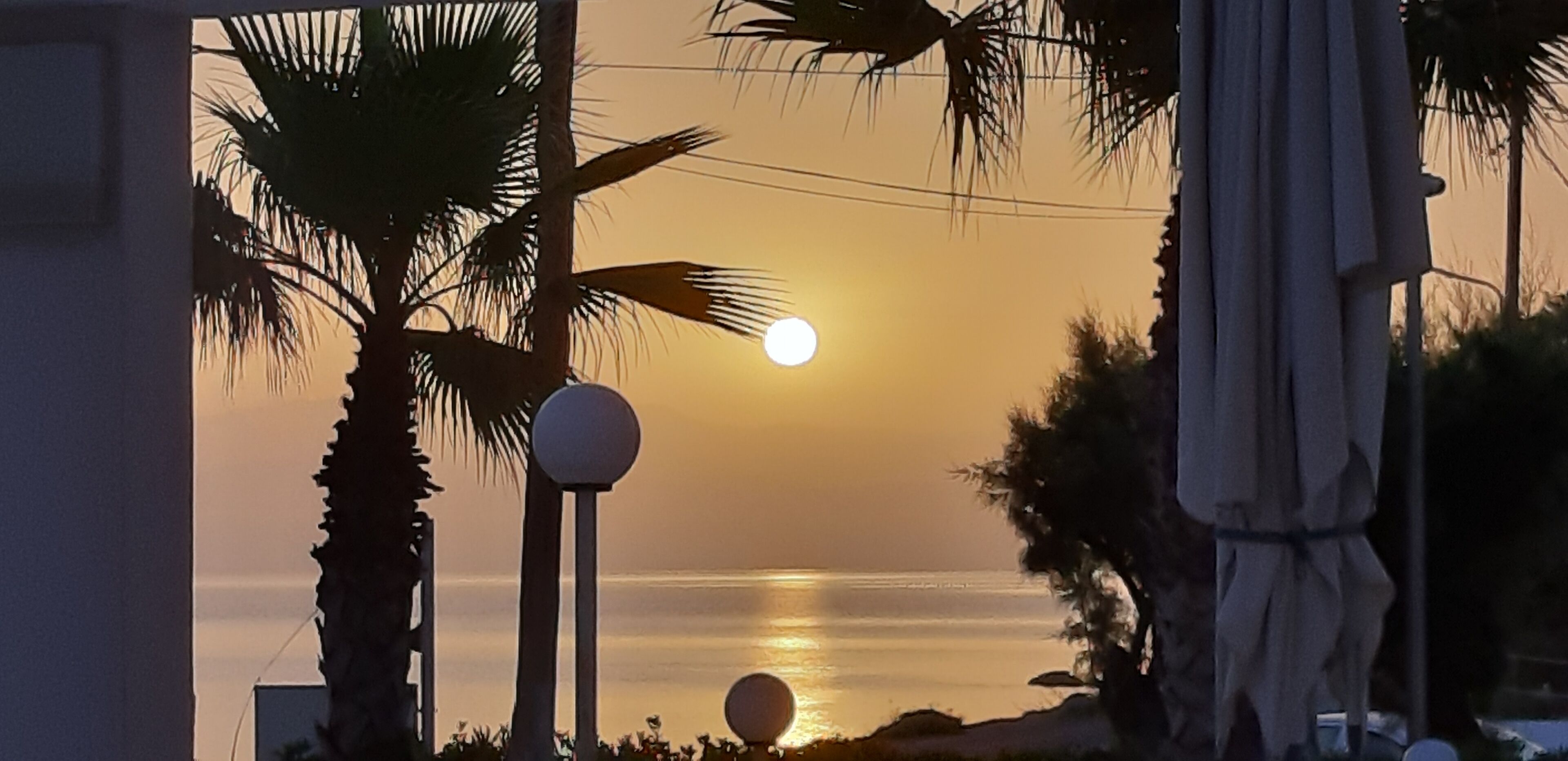 Une vue sur le coucher de soleil, avec des palmiers et une plage.