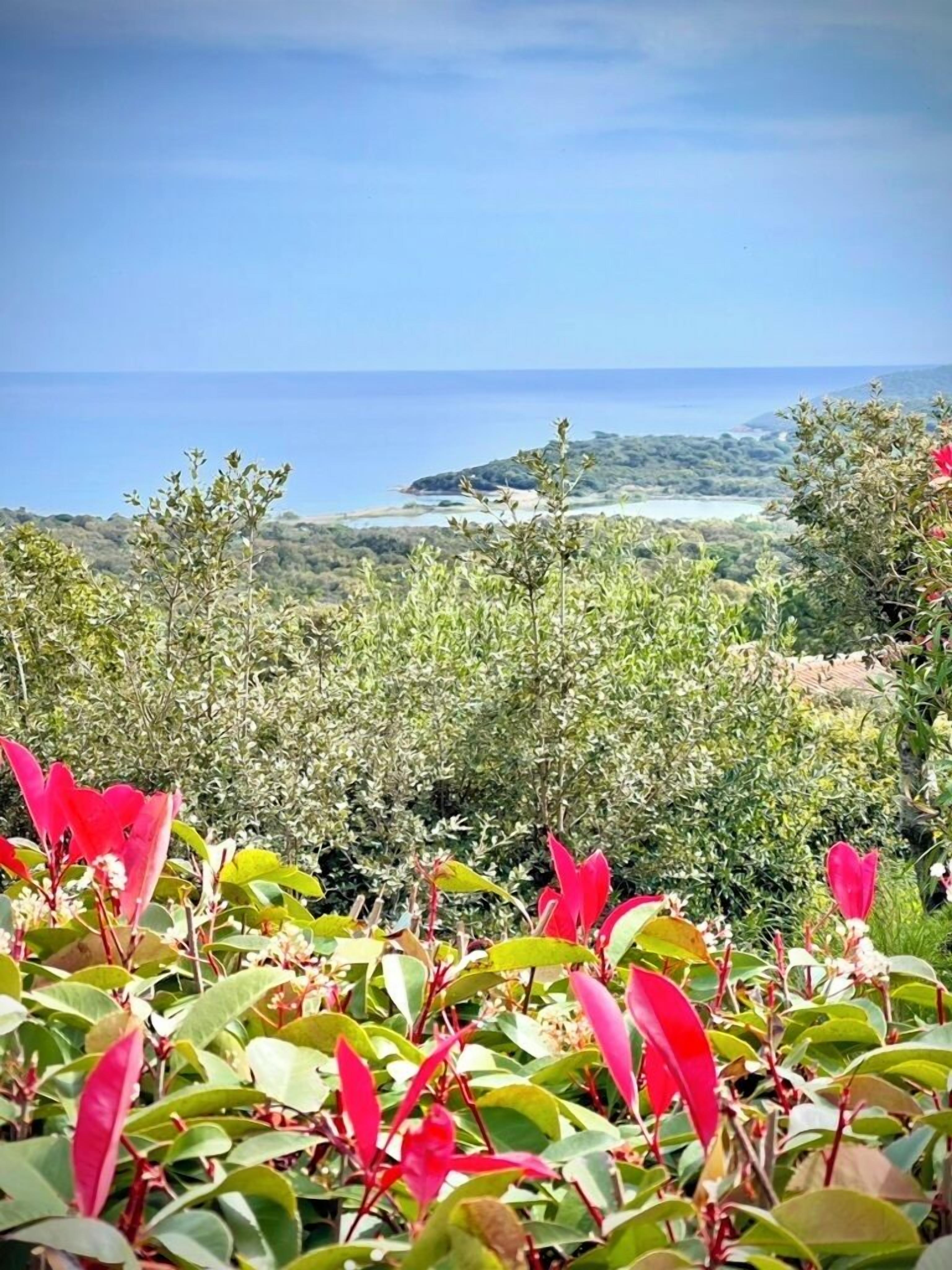 Vista desde la habitación