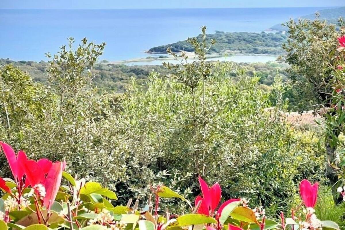 Eine Küstenlandschaft mit üppiger Vegetation und Blick auf das Meer.