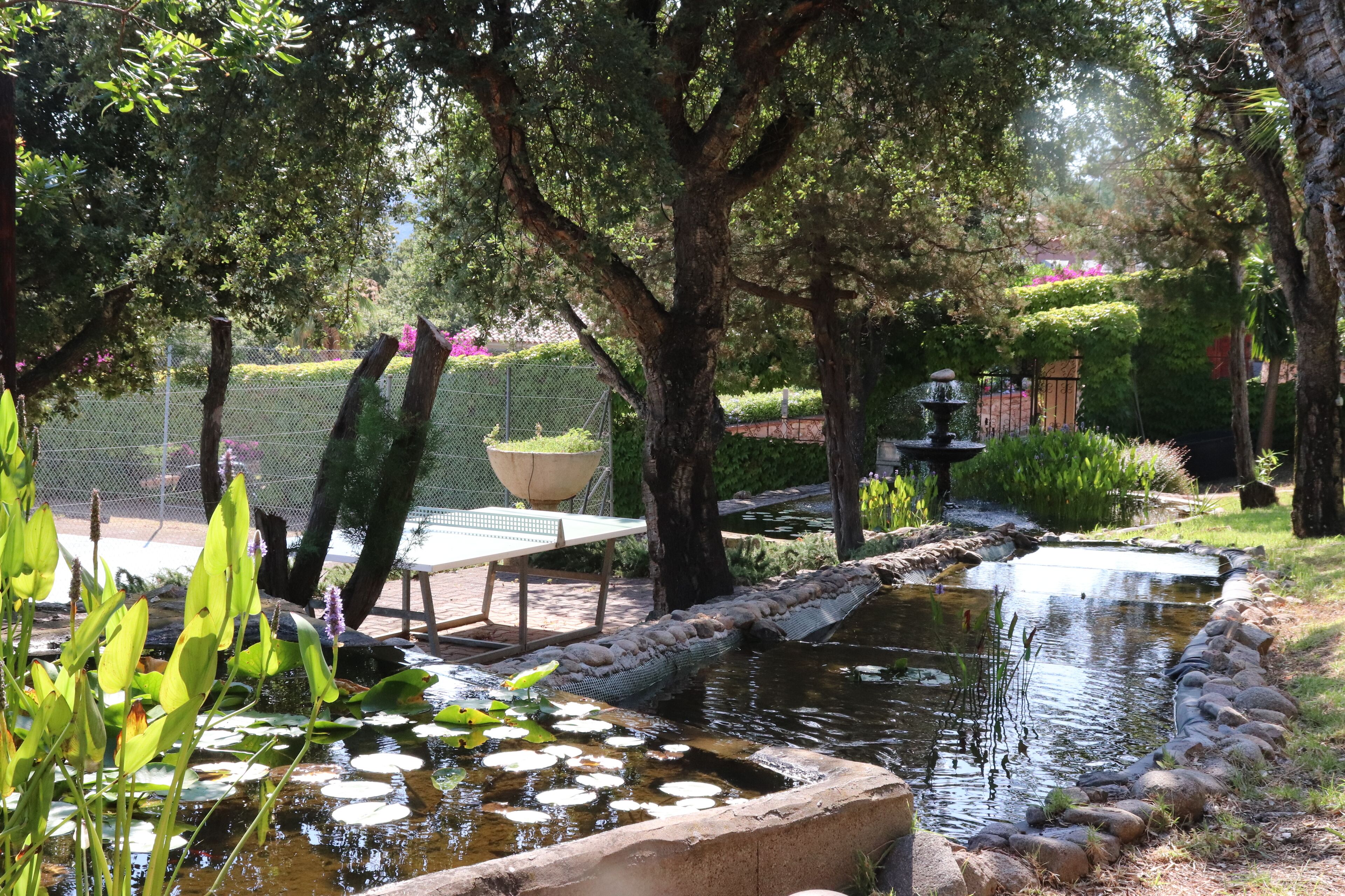 A serene garden with a pond, surrounded by trees and a fence.