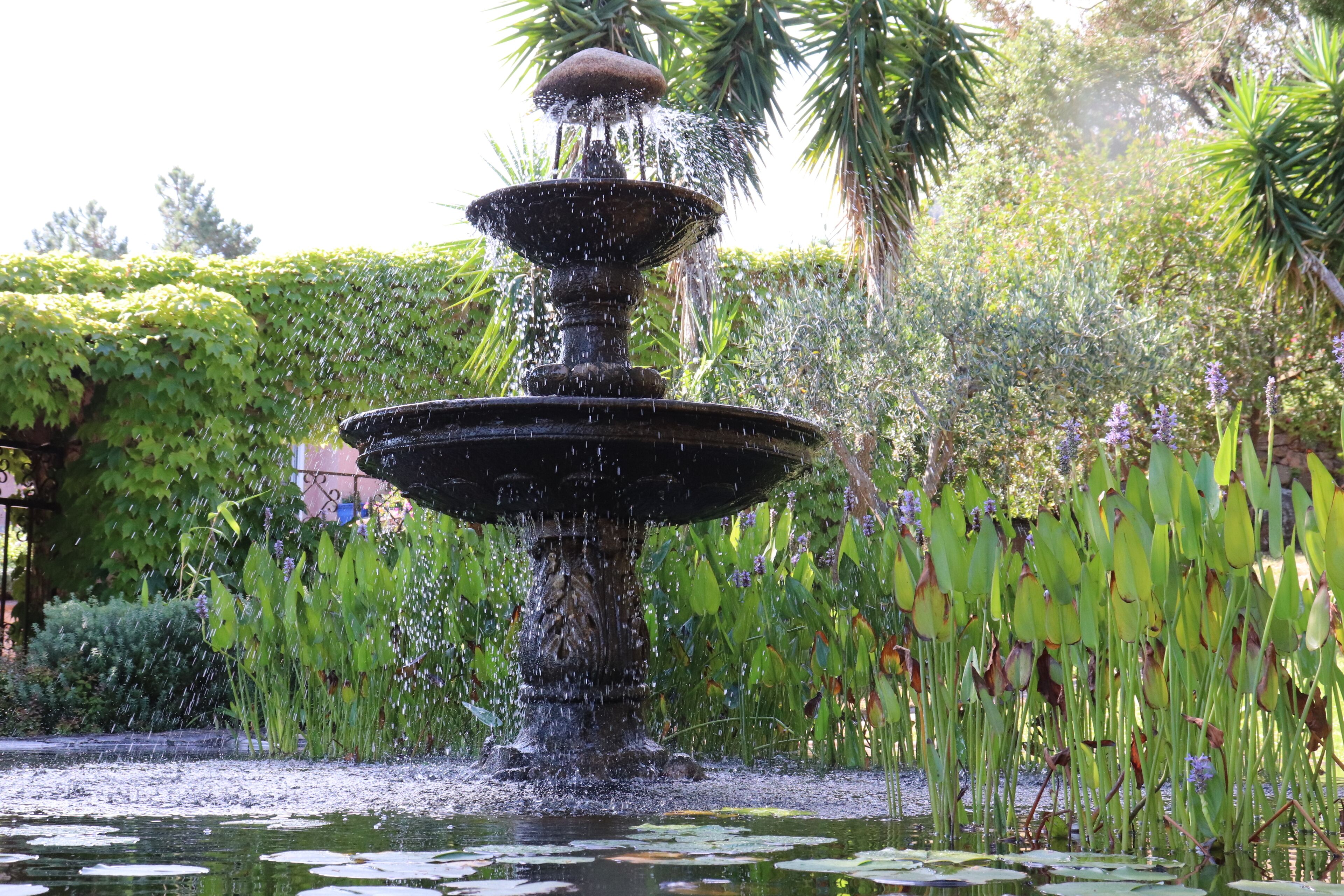 A tiered water fountain surrounded by lush greenery and water lilies.