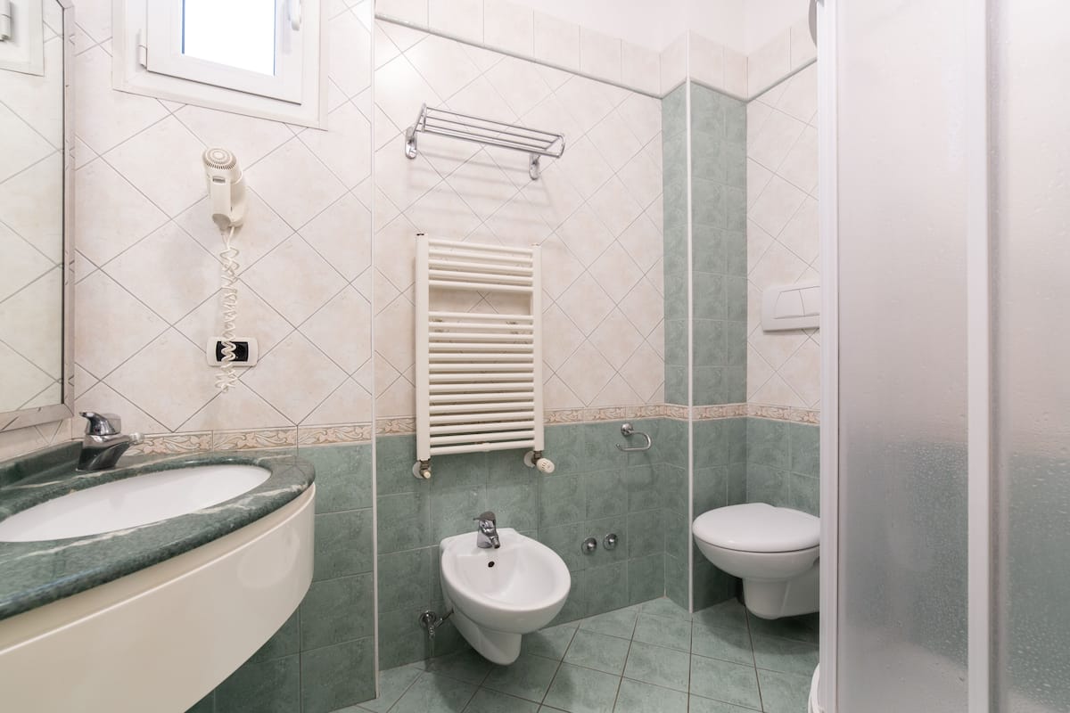 shower, free toiletries, hair dryer, bidet