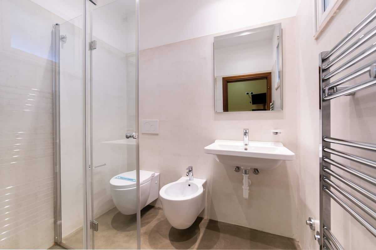 shower, free toiletries, hair dryer, bidet