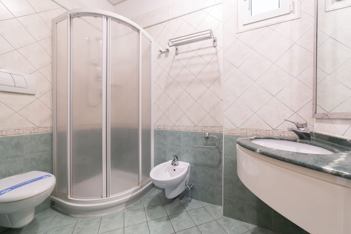 shower, free toiletries, hair dryer, bidet