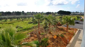 A view of a landscaped area with palm trees and a dirt path. - Althea Palace (Castelvetrano)