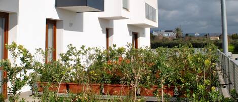 Un bâtiment moderne doté de nombreux balcons, de grandes fenêtres et d’un jardin sur le toit agrémenté de plantes en pot.