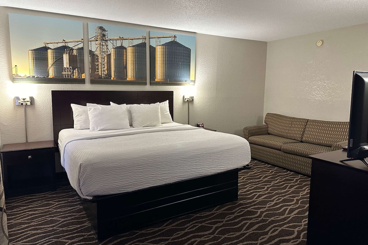 Studio Suite, 1 King Bed, Non Smoking | Desk, laptop workspace, blackout drapes, iron/ironing board