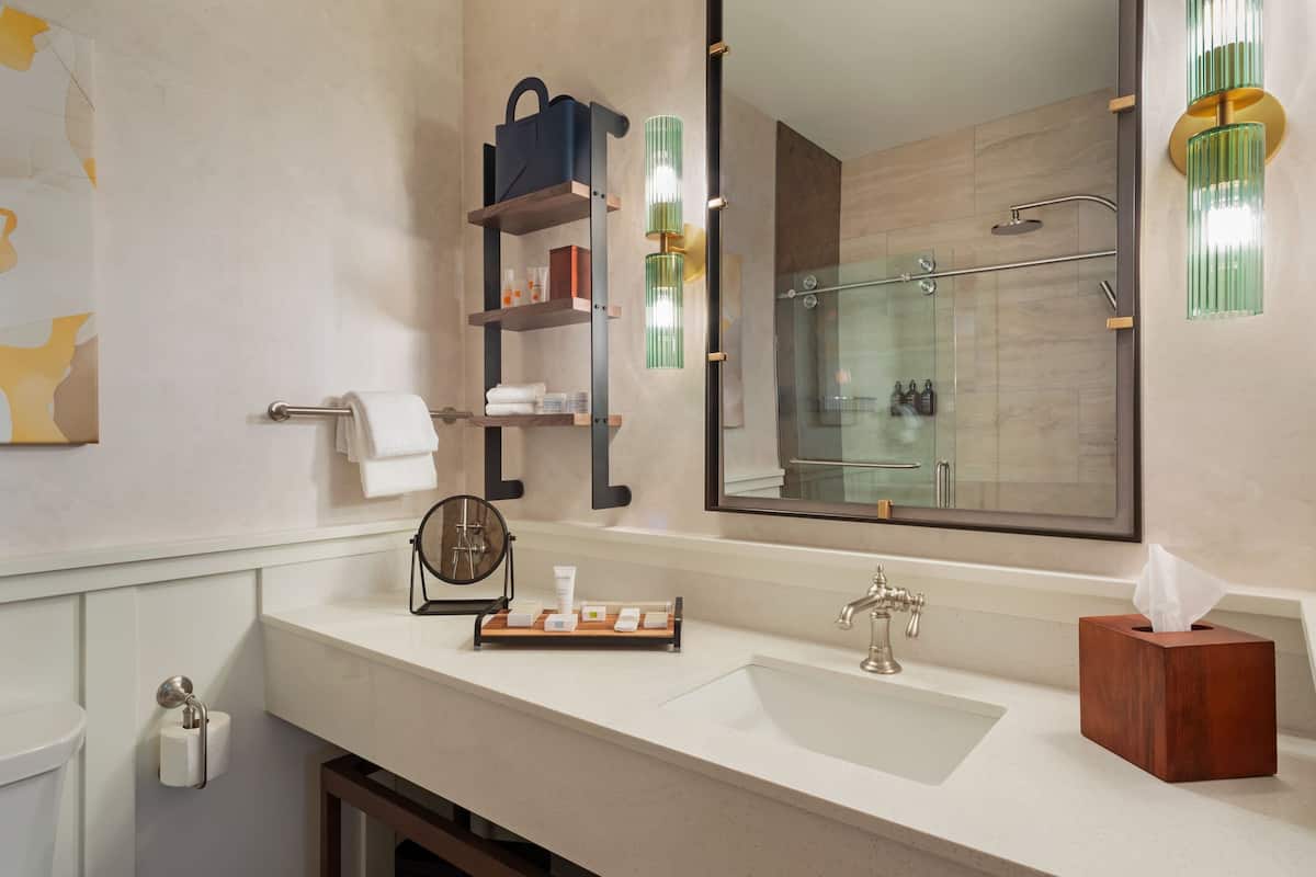 standard room, 1 king bed with sofa bed, non smoking | bathroom | shower, free toiletries, hair dryer, towels