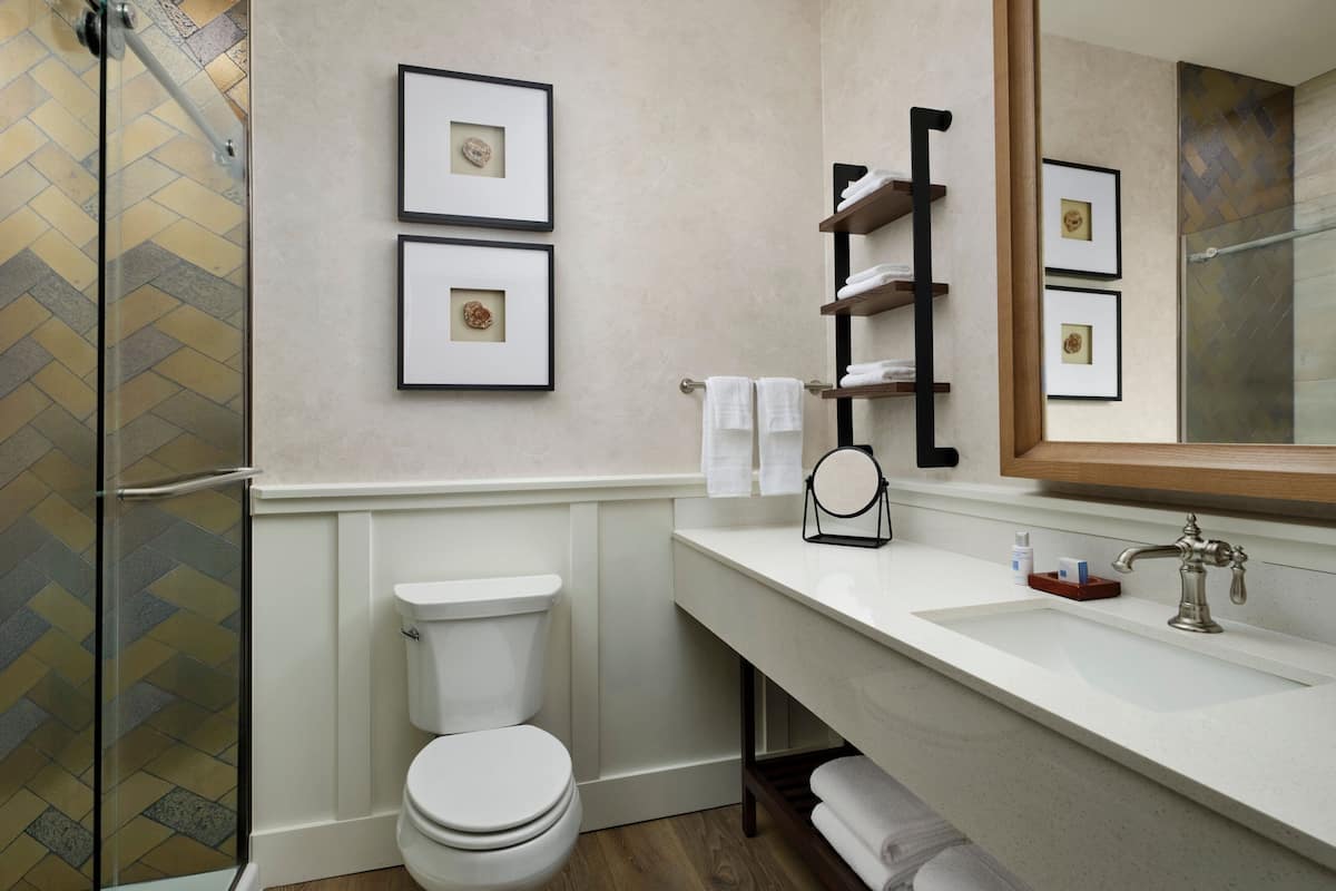 standard room, 1 king bed with sofa bed, non smoking | bathroom | shower, free toiletries, hair dryer, towels