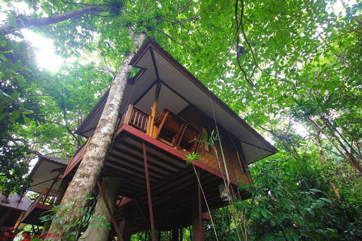 Una casa en un árbol con terraza de madera y balcón, rodeada de follaje denso.