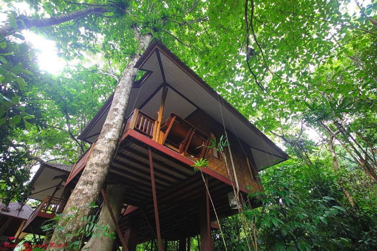 Tree House Deluxe Air-con | Vue sur le jardin