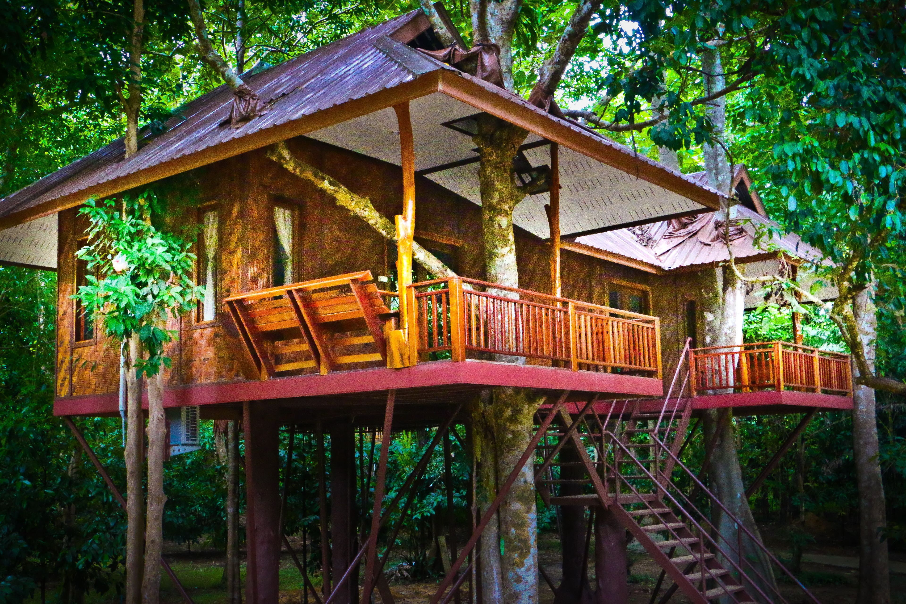 tree house deluxe air-con | desk