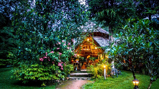 Une maison rustique en bois, dotée d’un toit de chaume, entourée d’une végétation luxuriante et accessible par un chemin de briques menant à l’entrée.