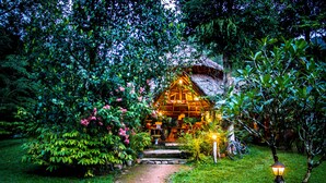 รูปภาพที่ไม่ได้จัดประเภท, 5 จาก 67, ปุ่ม