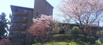 Wisterian Life Club Verde no Mori