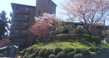 Wisterian Life Club Verde no Mori