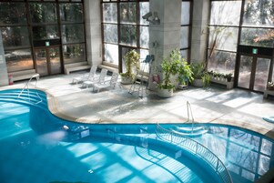 Piscina interior con paredes de vidrio transparente, sillones de descanso y plantas en macetas.