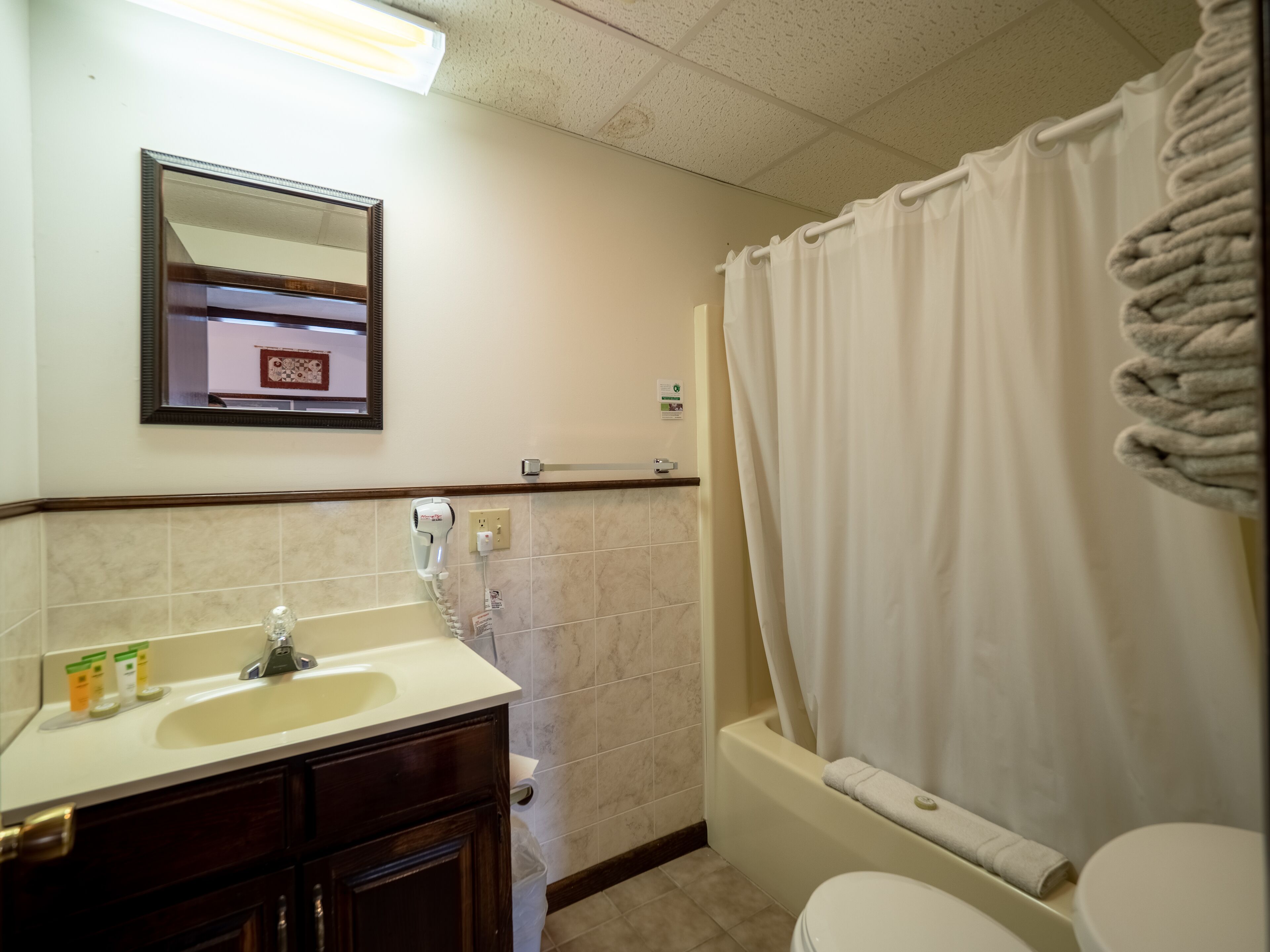 A bathroom with a sink, mirror, and toilet.