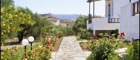 Àrea exterior de l'allotjament