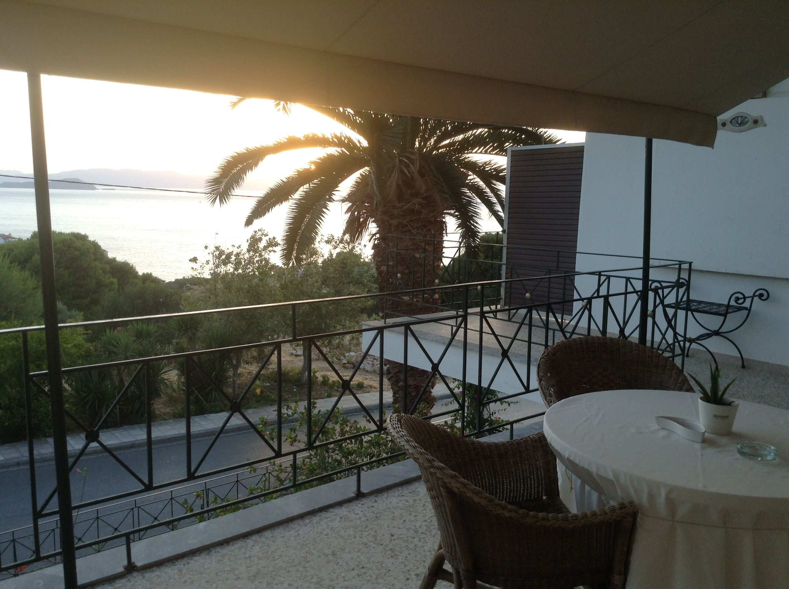 A balcony with a view of the sea, a palm tree, and wicker furniture.