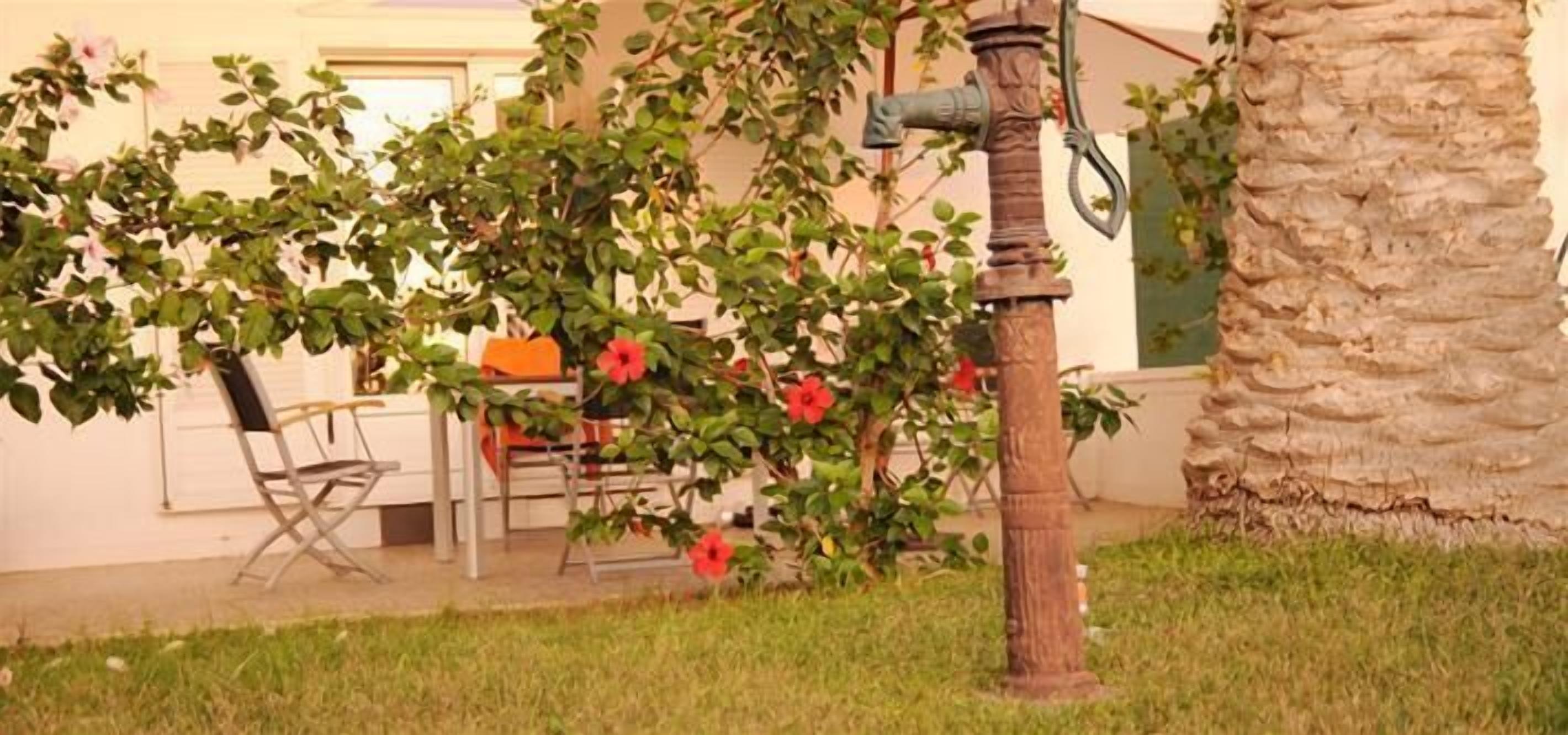 Un jardín con un árbol, una silla y un pilar de piedra.