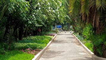 A pathway lined with lush greenery and flowering plants, leading to a signboard.