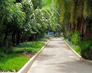 Stroll through lush gardens, leading to a nearby facility.