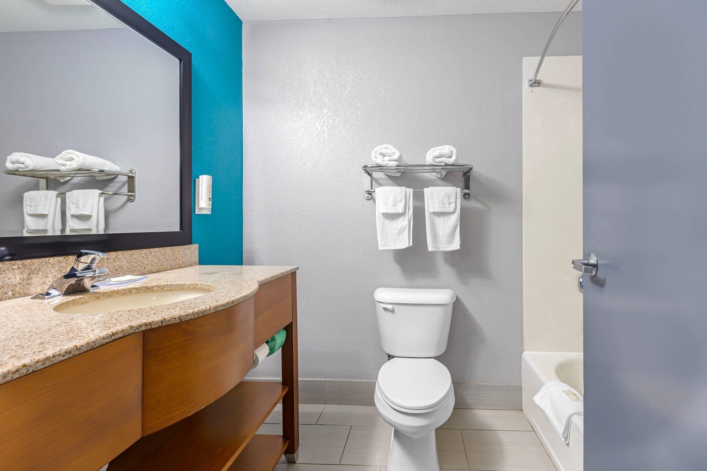 Une salle de bain avec un lavabo, des toilettes et une douche.