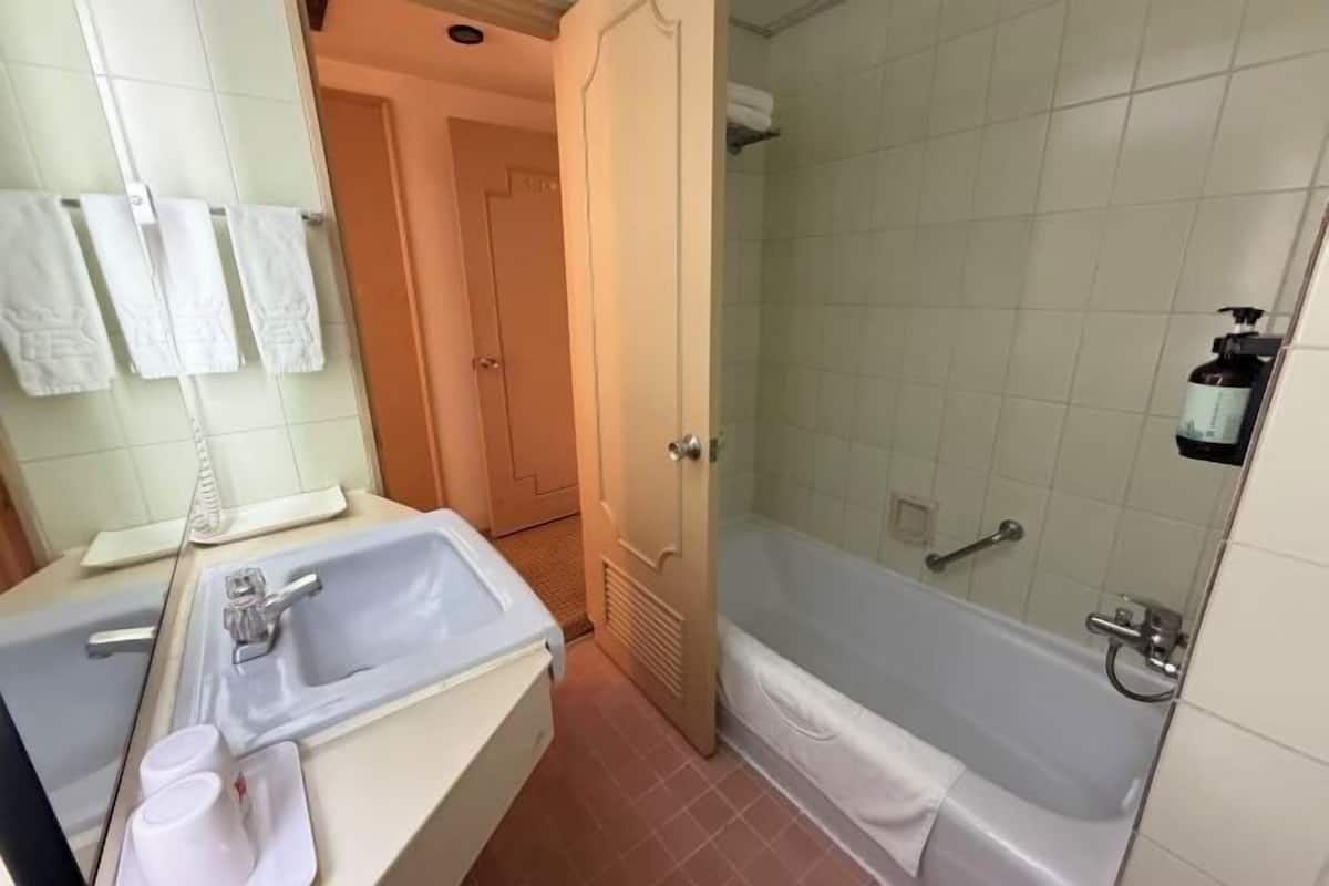 Hair dryer, slippers, electronic bidet, towels