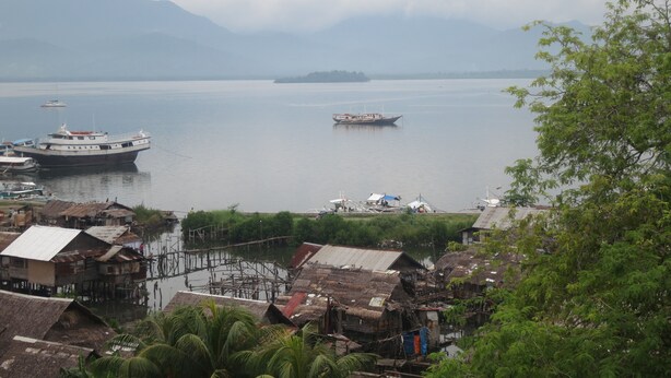 A calm lake with boats, a small island, and a docked ship. - Palawan Palm Suites (Puerto Princesa)