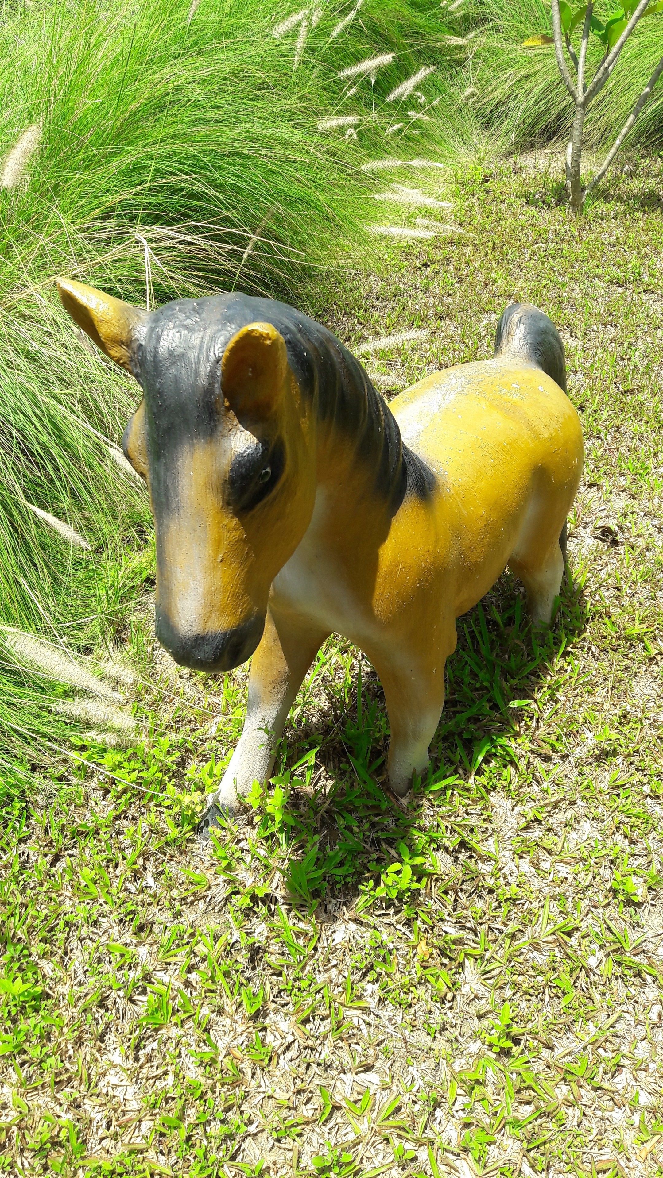 Foto - Chaweng Noi Pool Villa