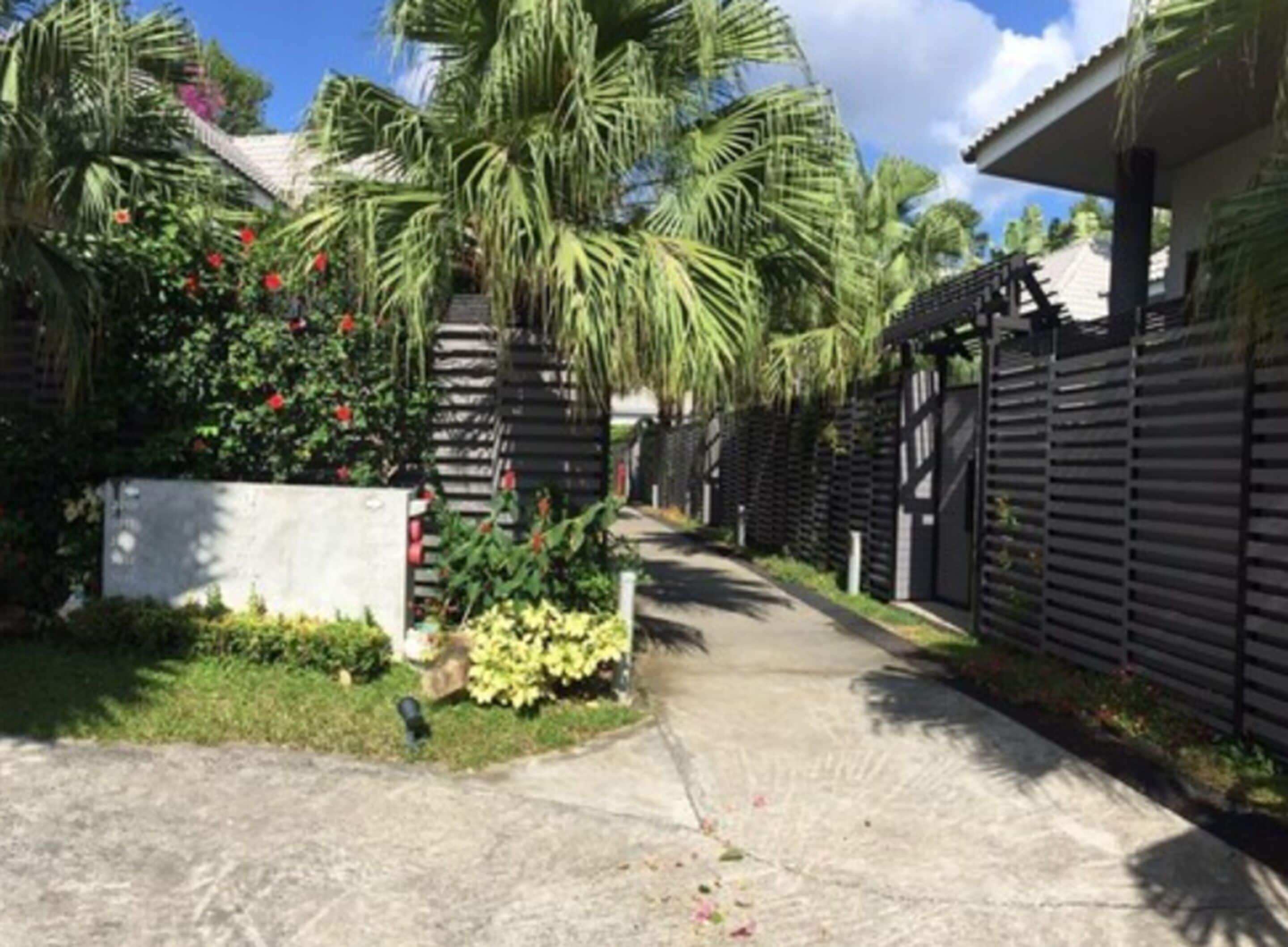 A residential street with palm trees, a concrete pathway, and a gated entrance.