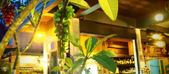 Khao Sok Green Valley Resort